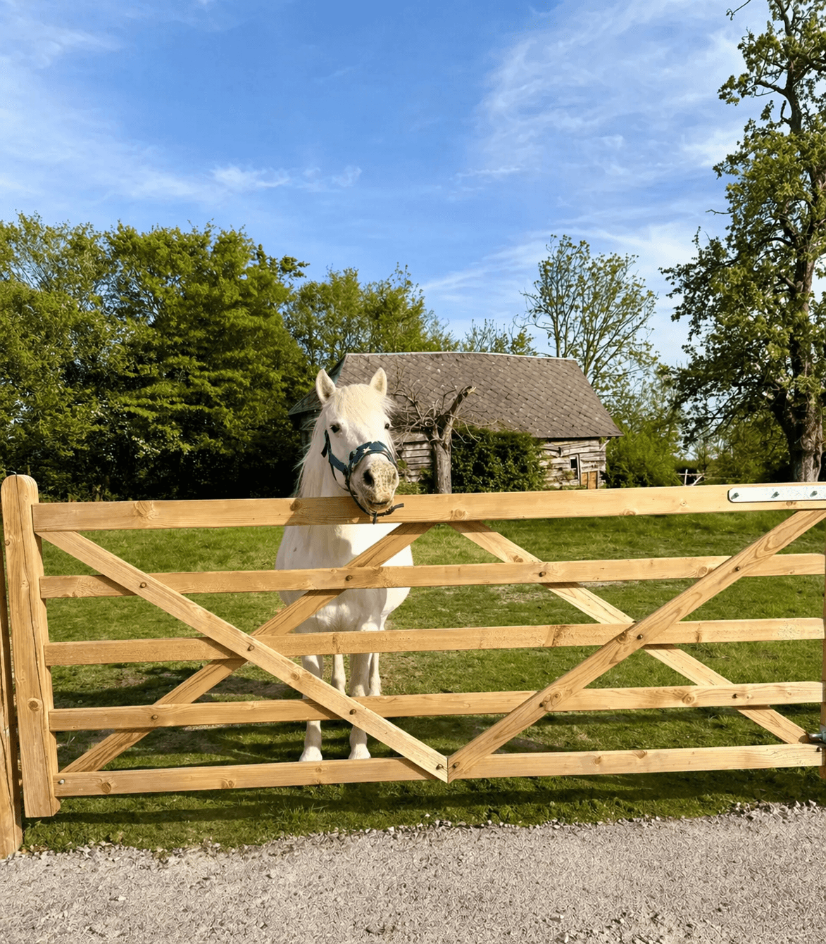 Poney devant une grange au Domaine de Rubremont